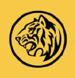 Perfect money icon