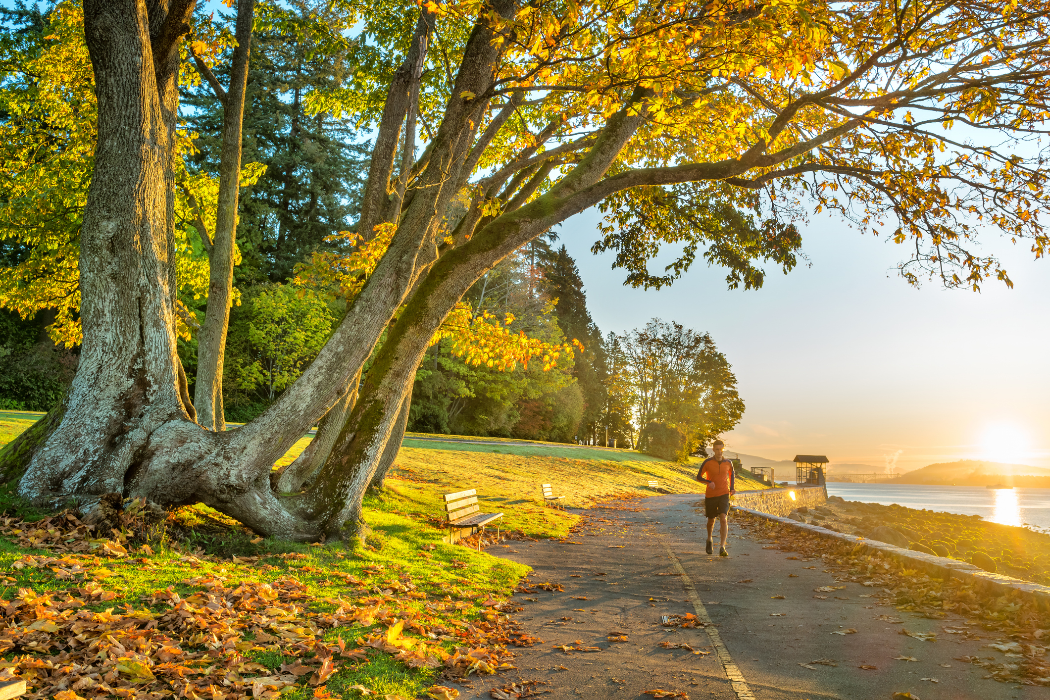 Stanley Park Seawall Trail Vancouver United States, component_text=